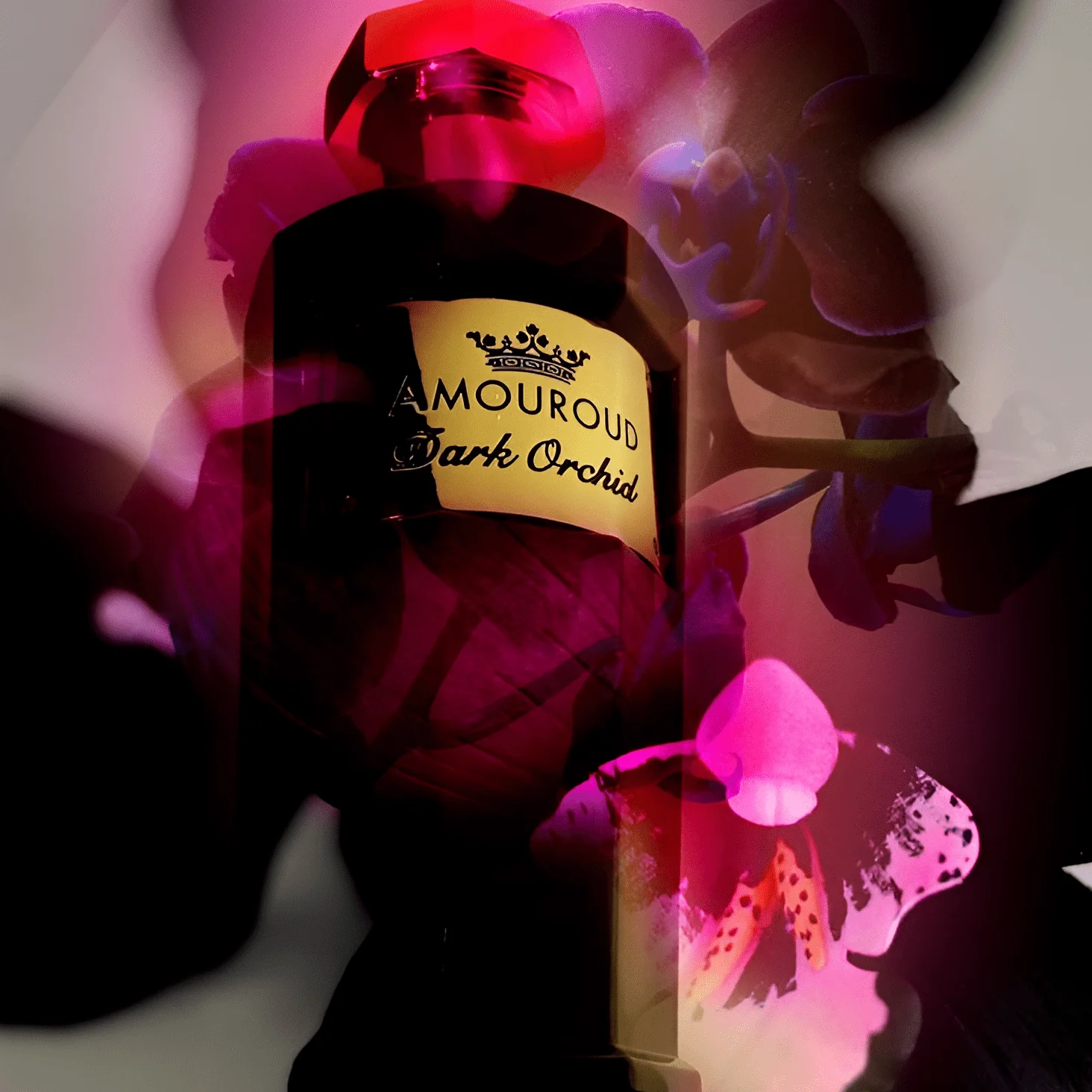 Amouroud Dark Orchid EDP - Image 3