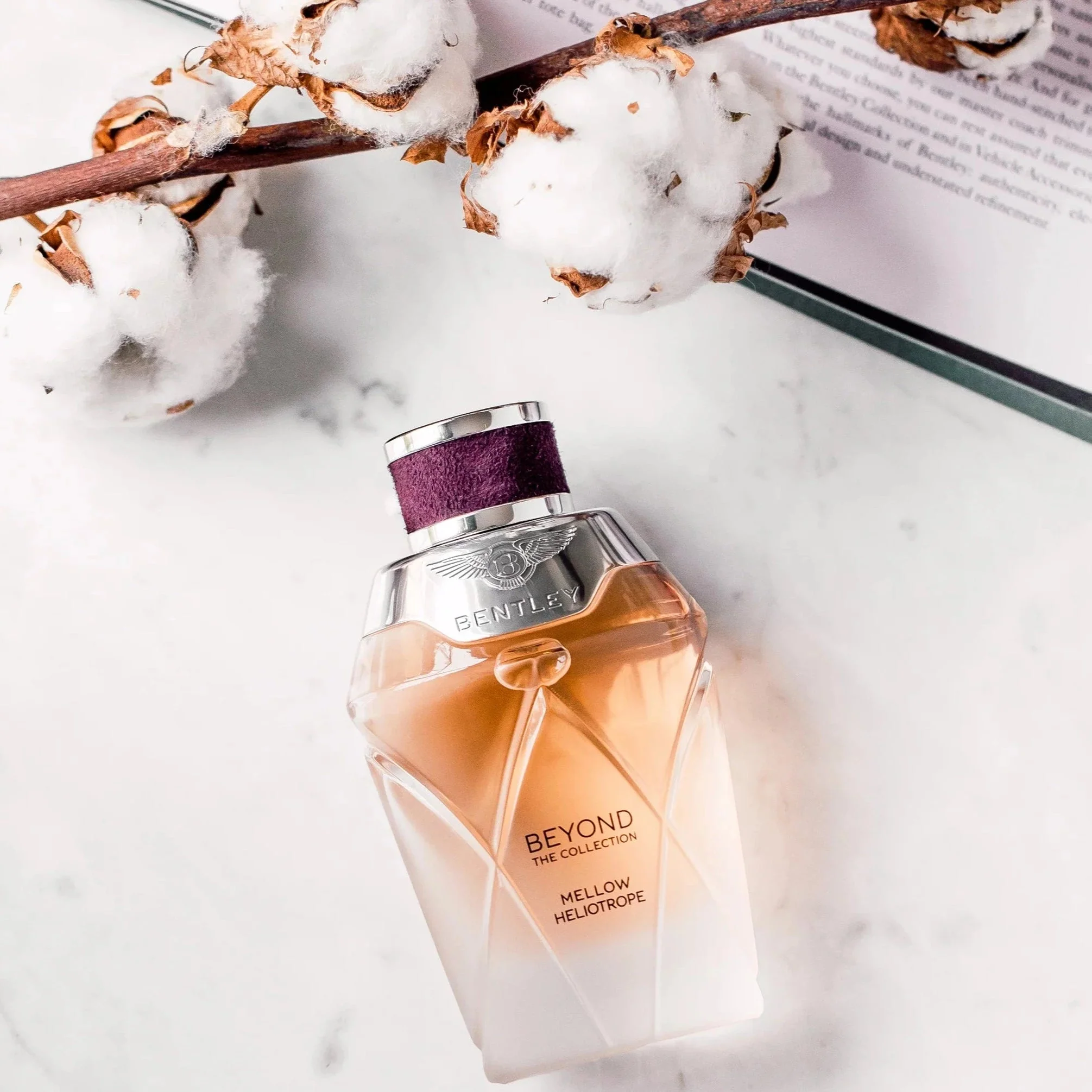 Bentley Beyond The Collection Mellow Heliotrope EDP - Image 4