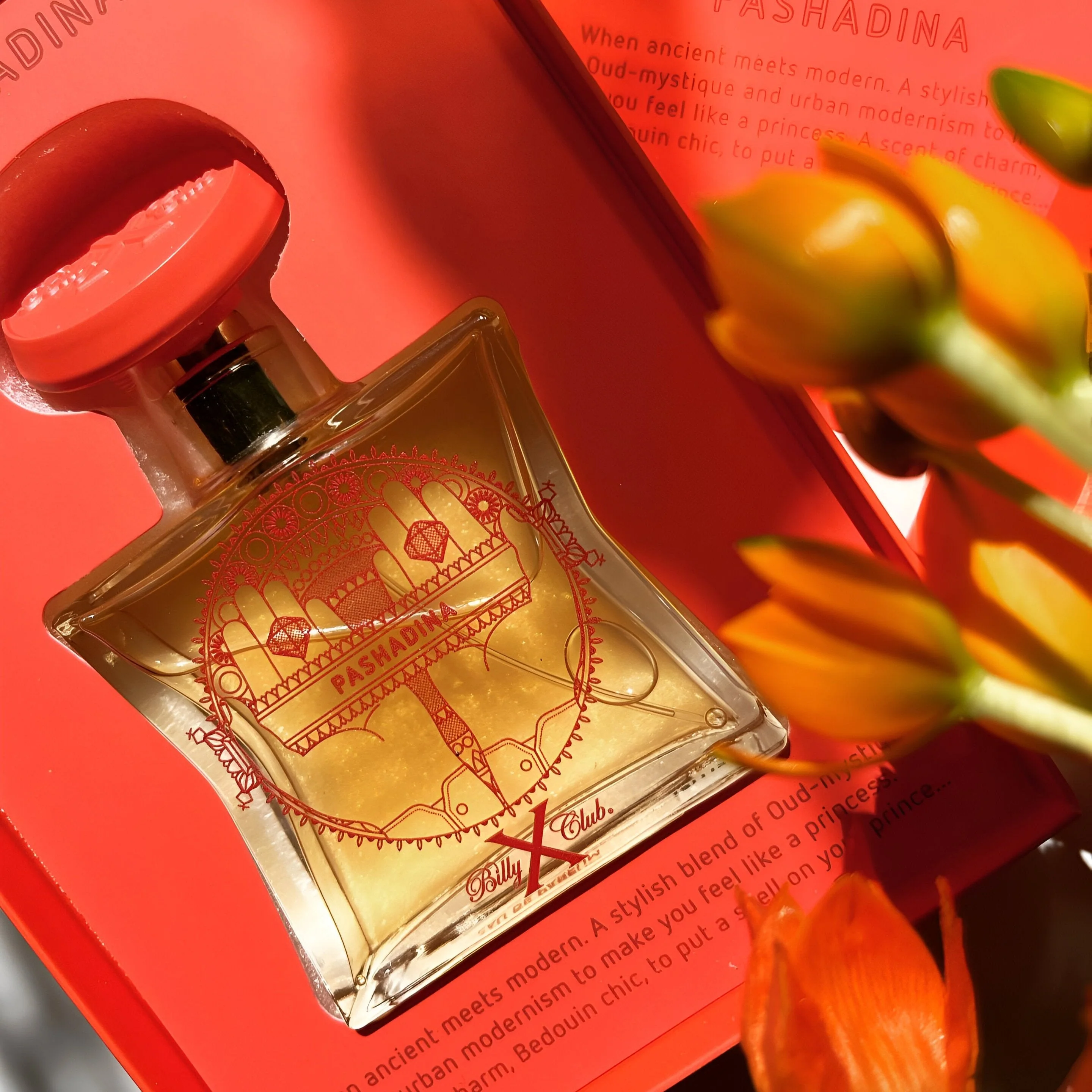 Billy X Club Pashadina EDP - Image 3
