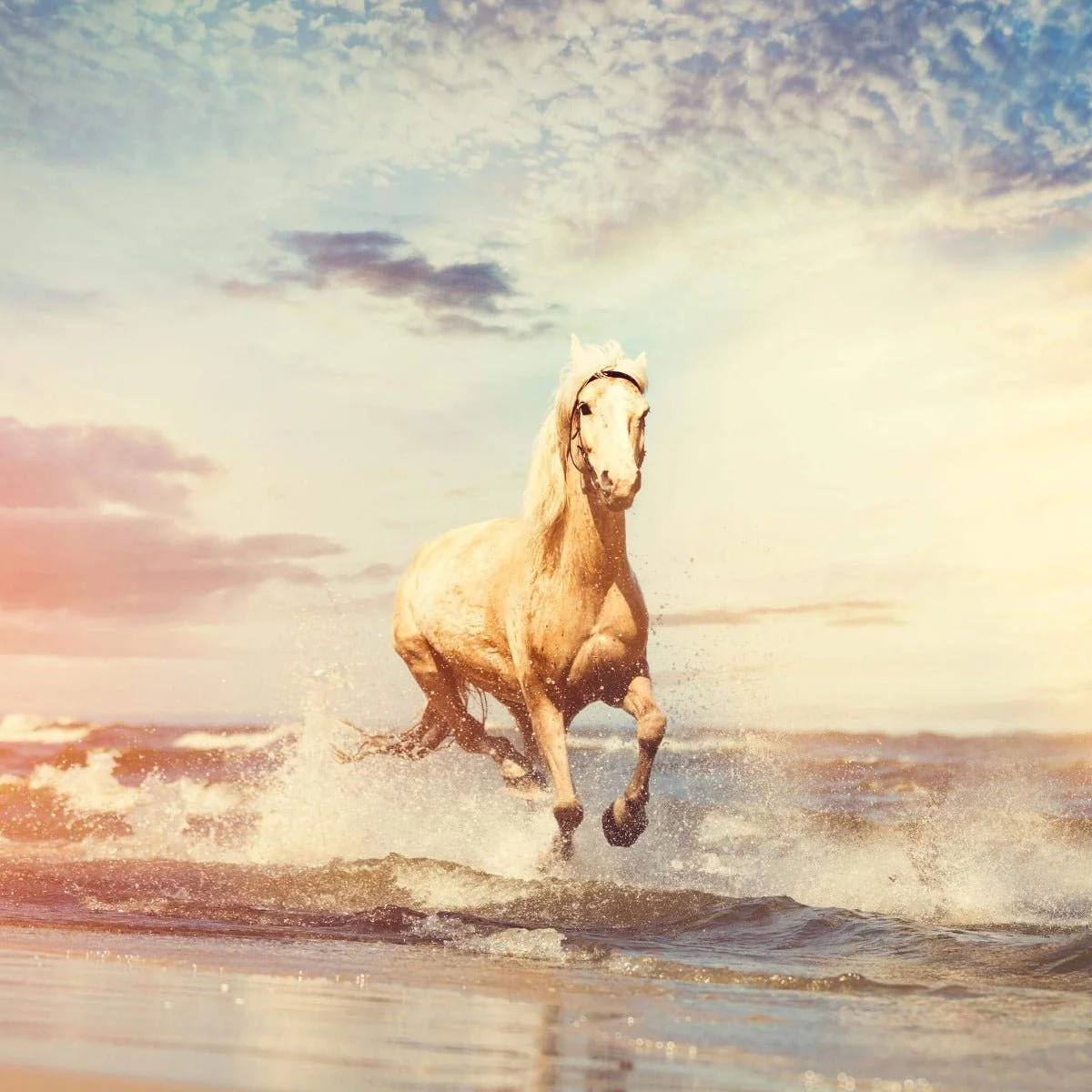 Boadicea The Victorious Valiant Pure Parfum - Image 3