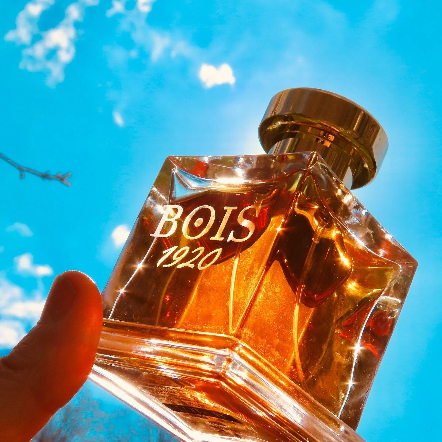 Bois 1920 Elite I Parfum - Image 2