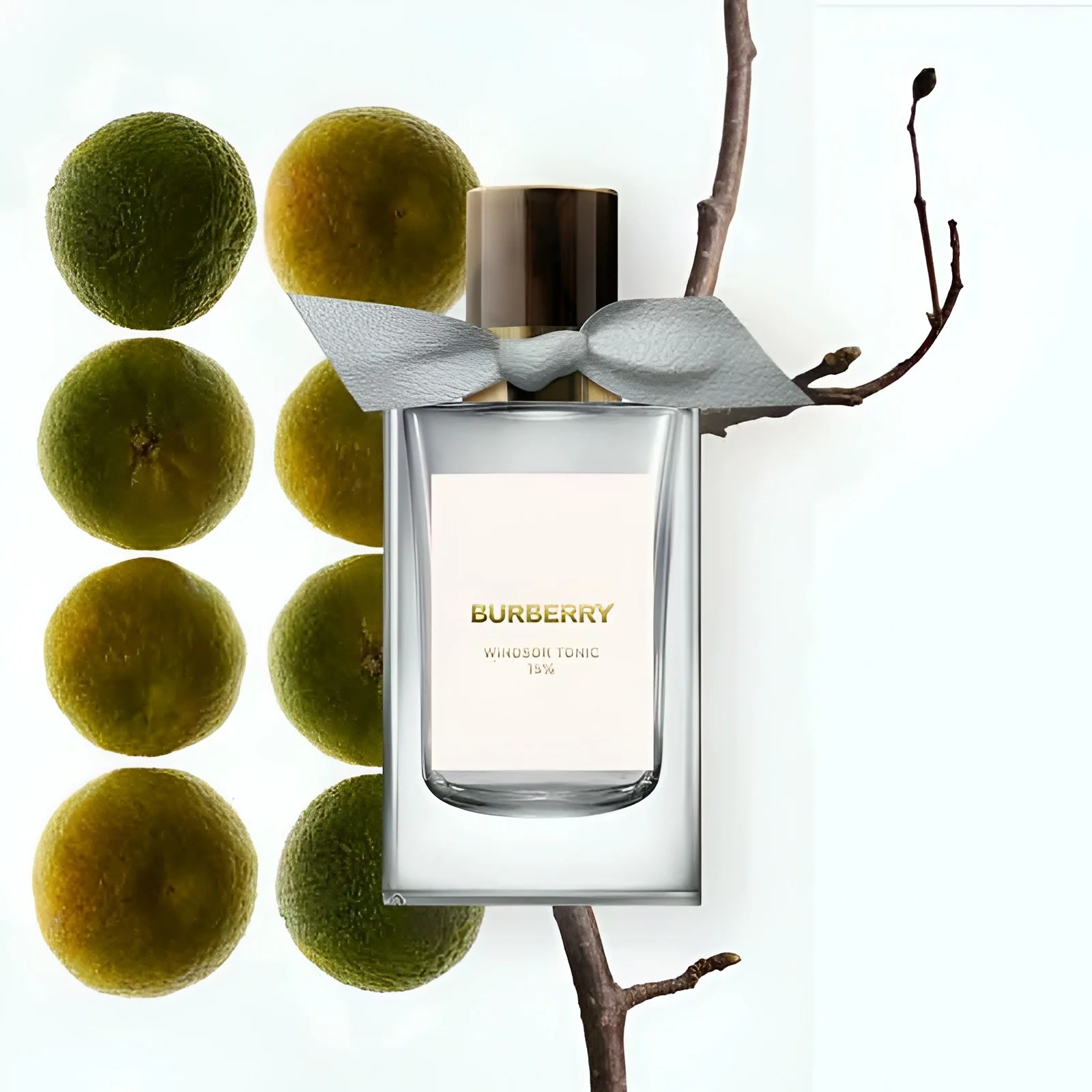 Burberry Bespoke Collection Windsor Tonic 15% EDP - Image 3