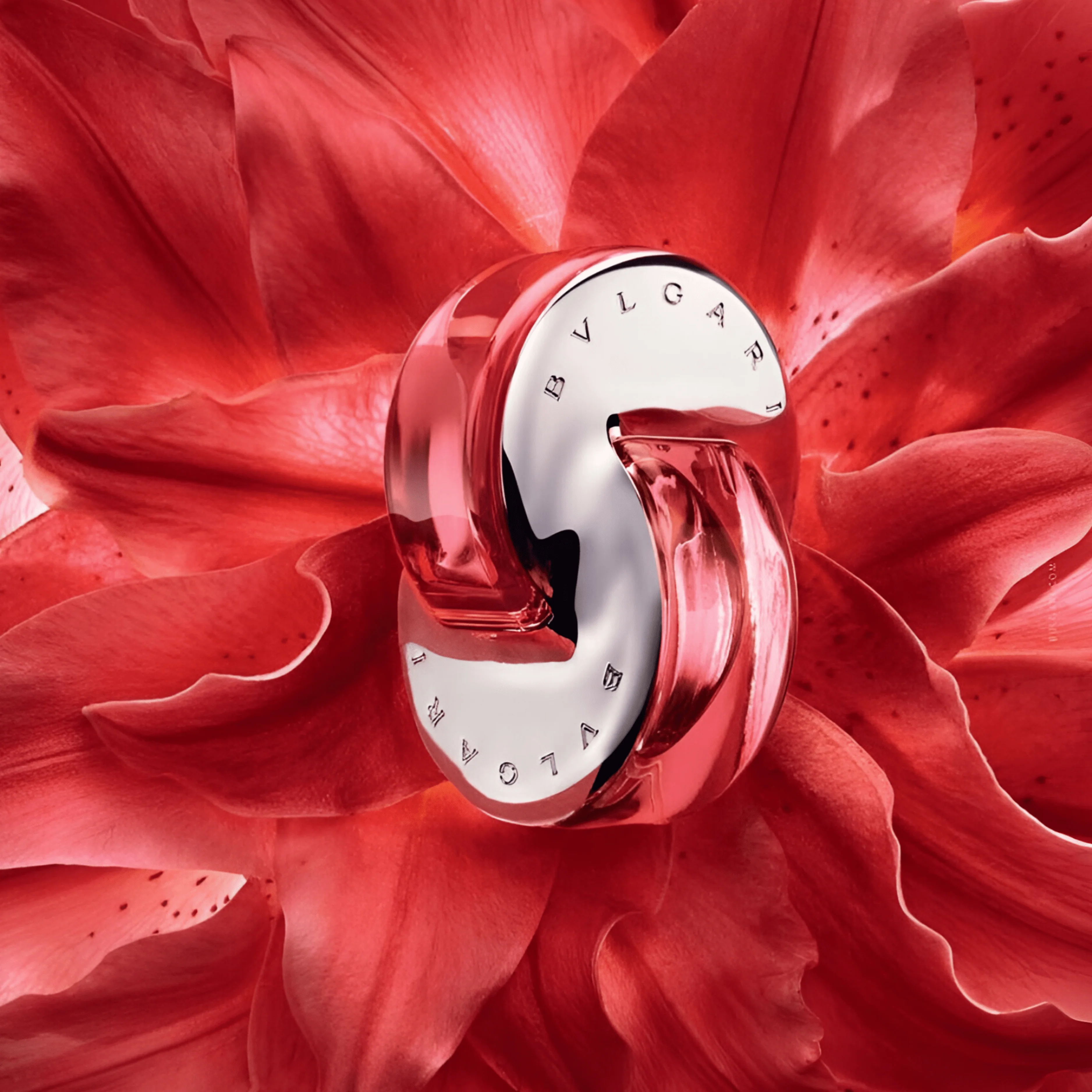 Bvlgari Omnia Coral EDT - Image 3