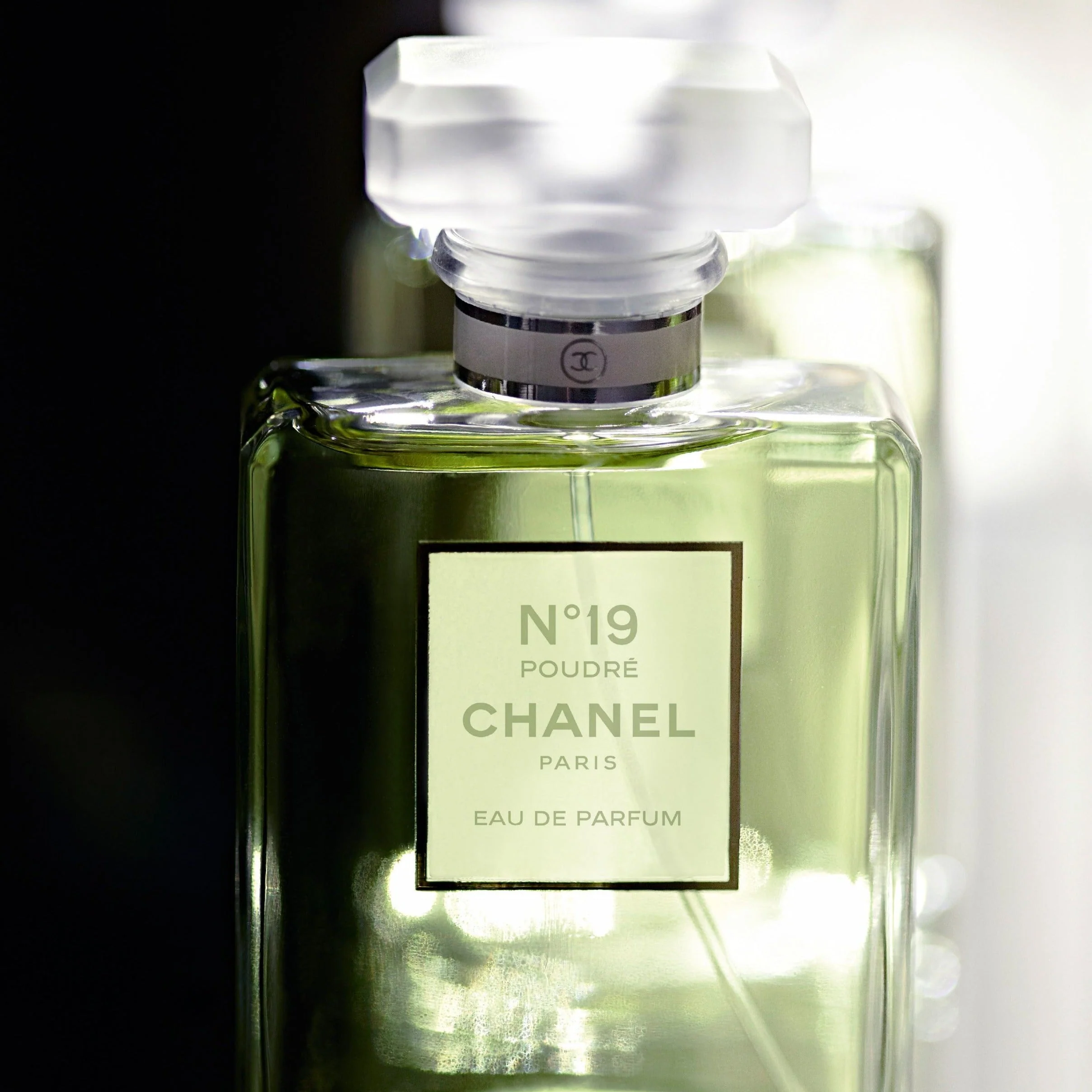 Chanel No.19 Poudre EDP - Image 2