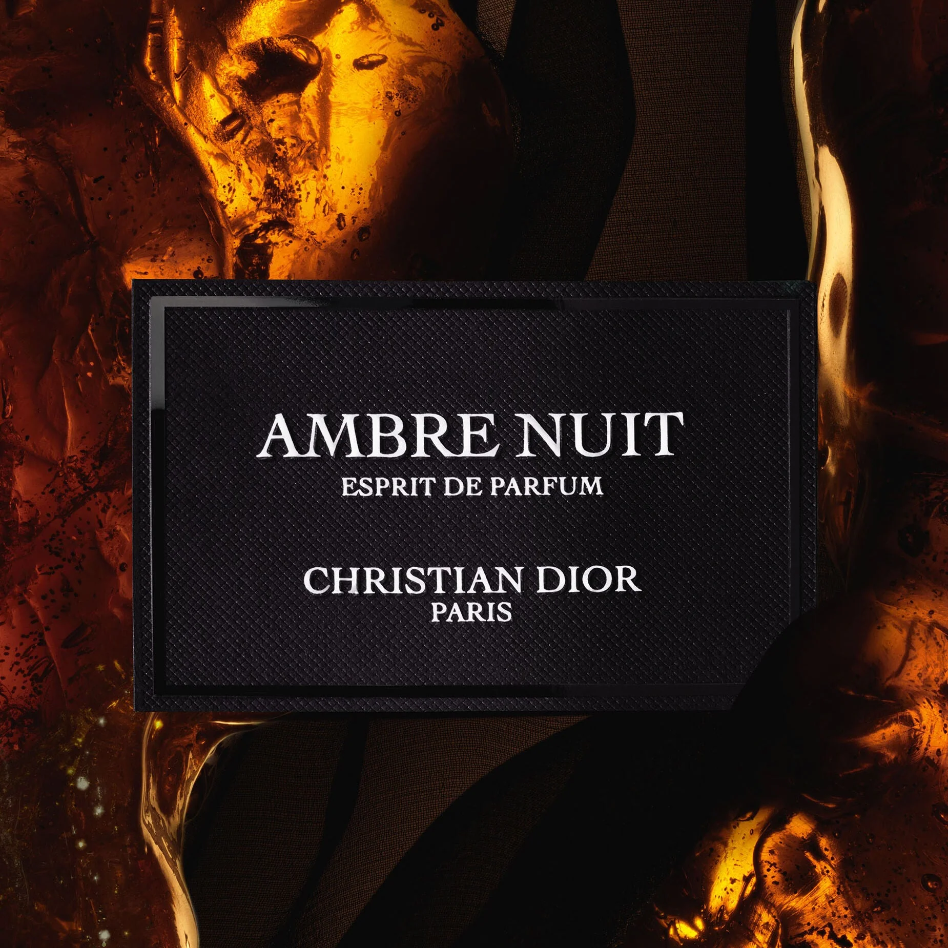 Christian Dior Ambre Nuit Extrait De Parfum - Image 3