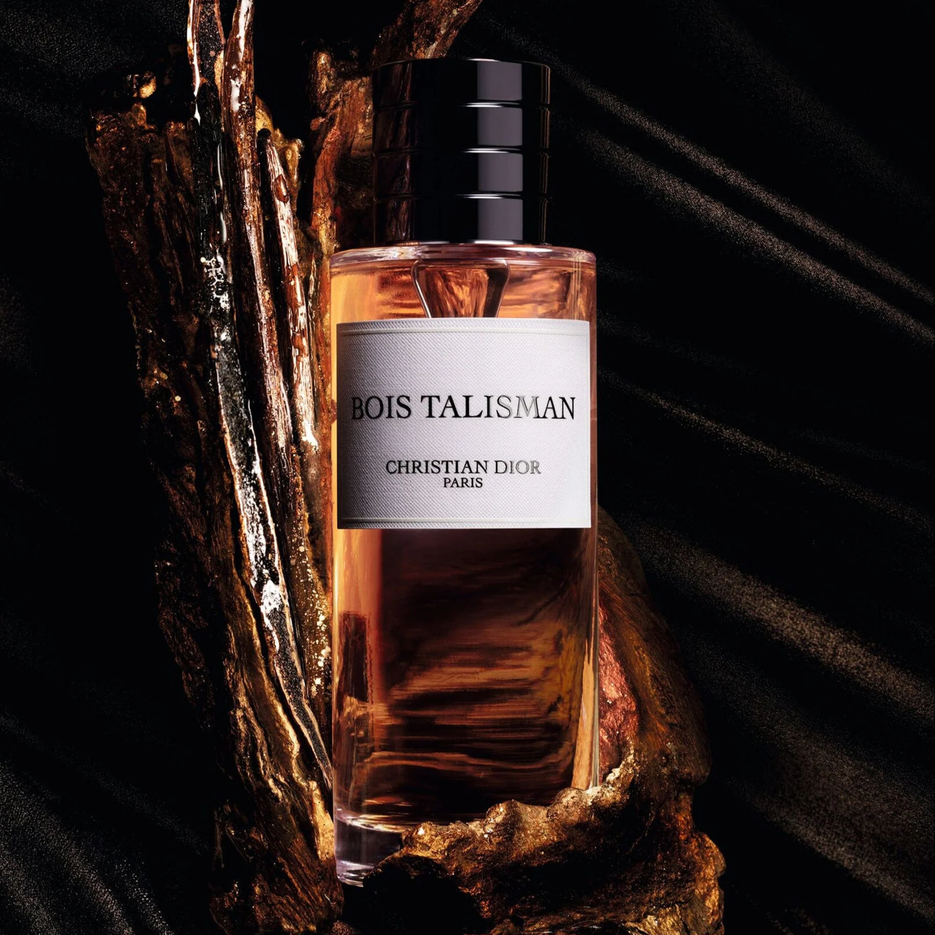 Christian Dior Bois Talisman EDP - Image 5