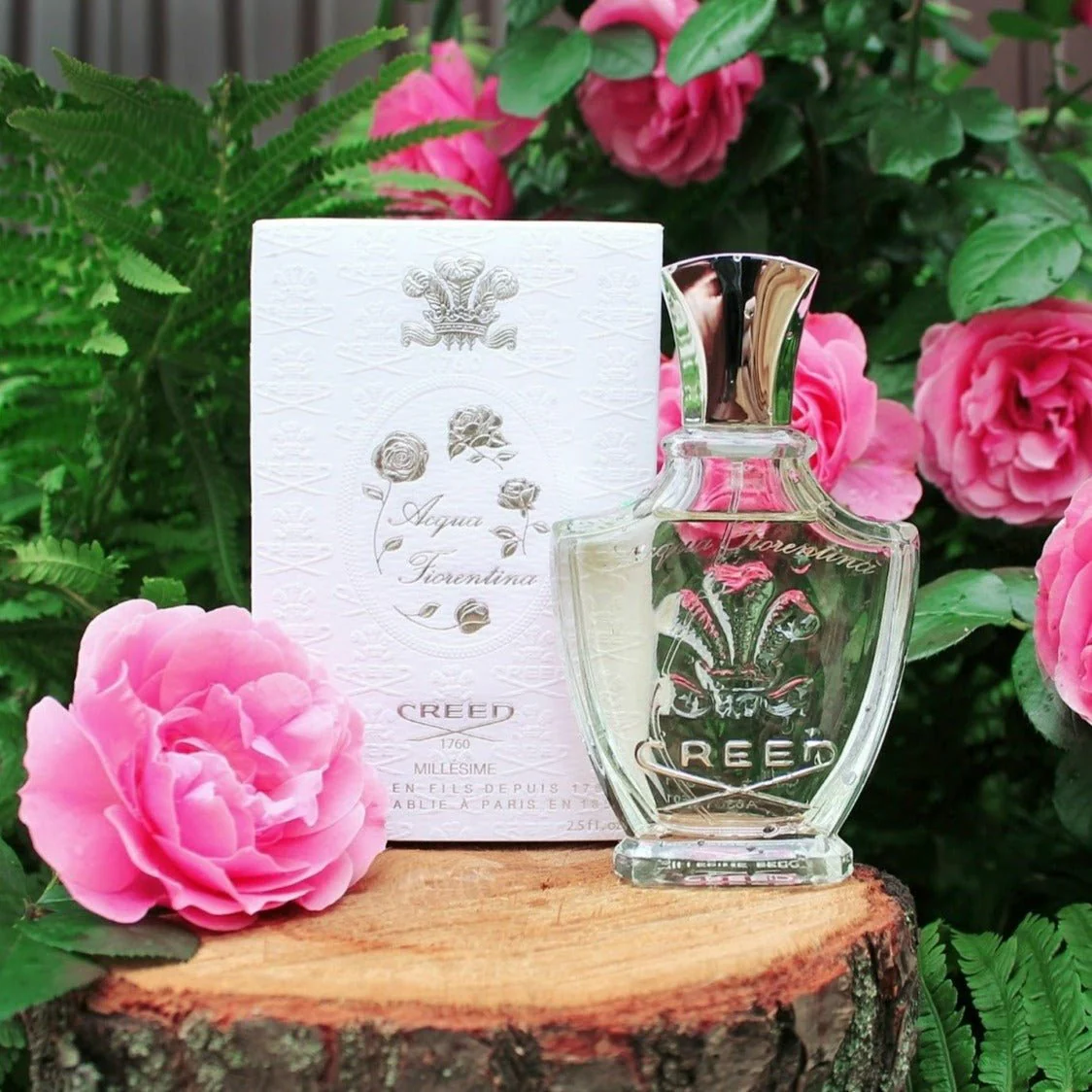 Creed Acqua Fiorentina EDP - Image 4