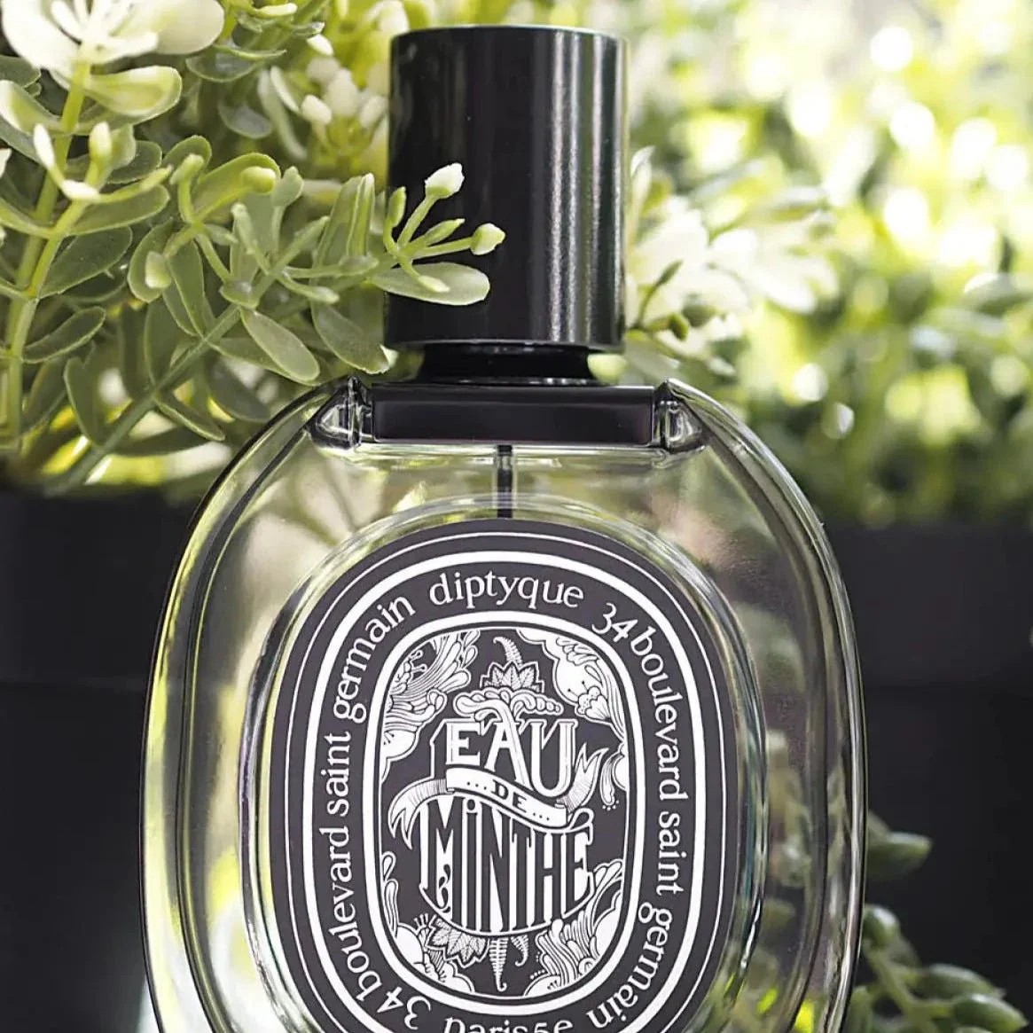 Diptyque Eau De Minthe EDP - Image 3