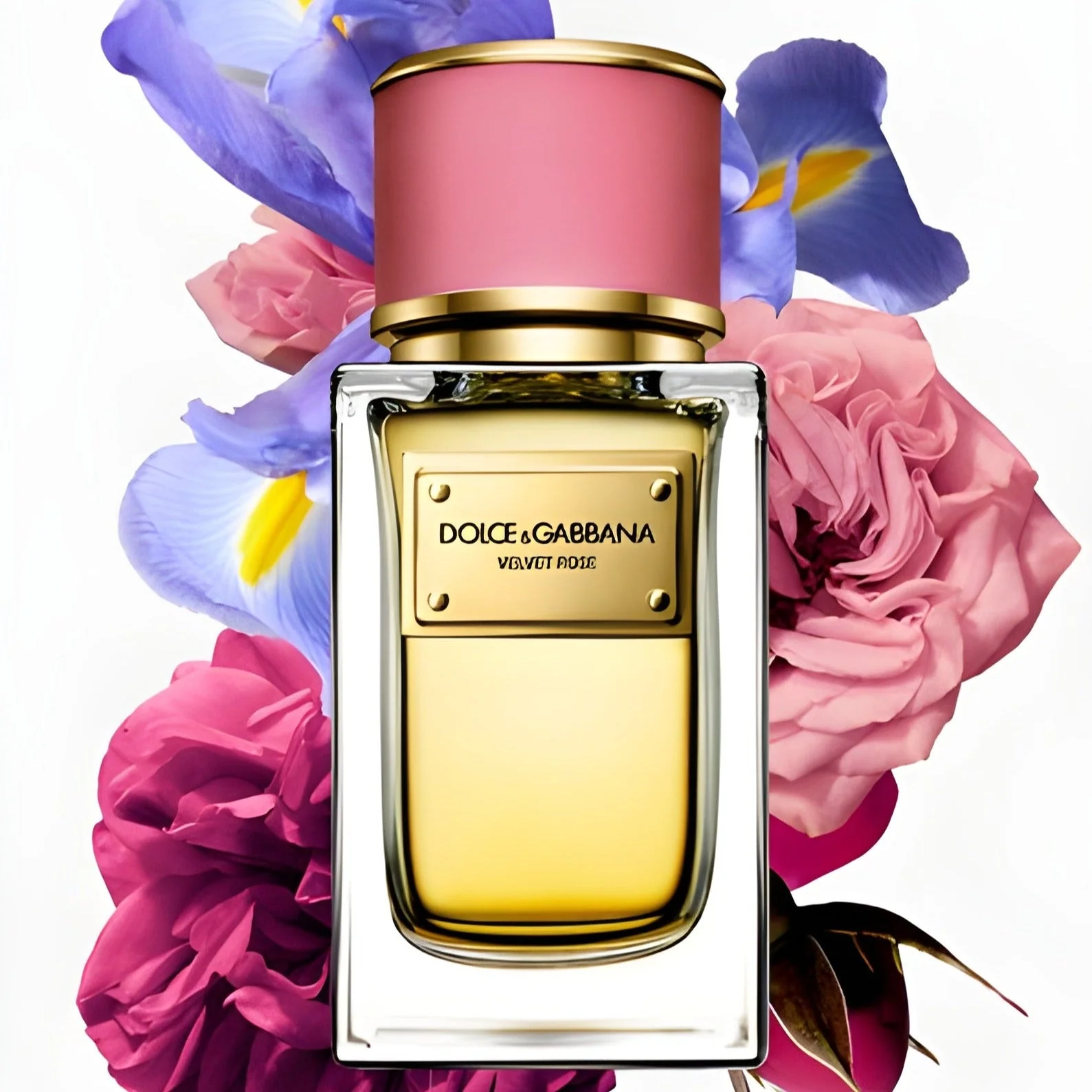 Dolce & Gabbana Velvet Rose EDP - Image 2
