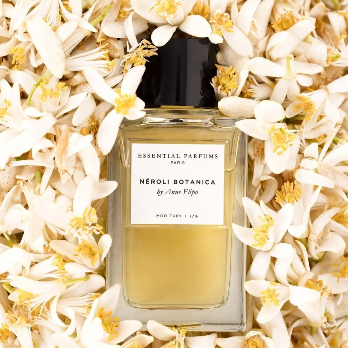 Essential Parfums Discovery Set - Image 3