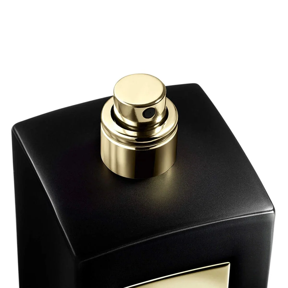 Giorgio Armani Prive Cuir Zerzura EDP - Image 2