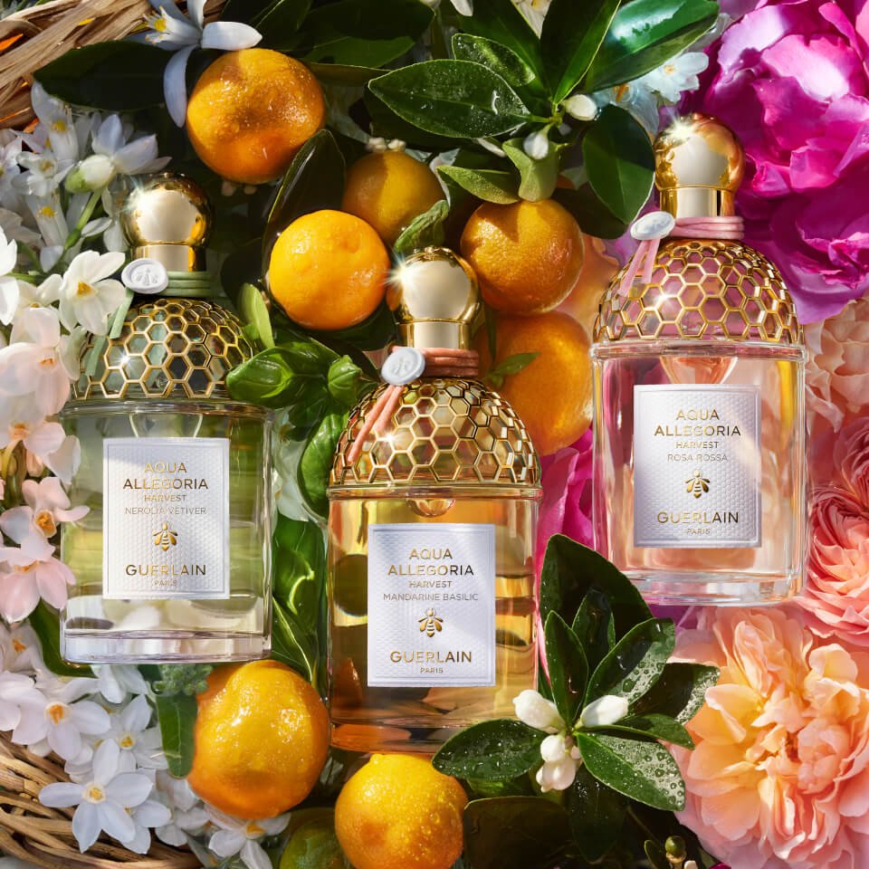 Guerlain Aqua Allegoria Nerolia Vetiver EDT - Image 2