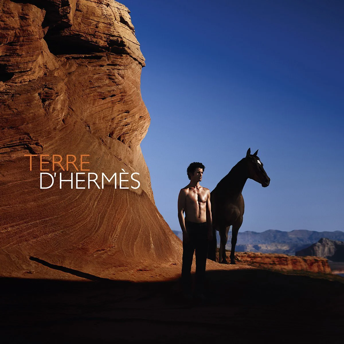 HERMÈS Terre d'HERMÈS Hair & Body Shower Gel - Image 3