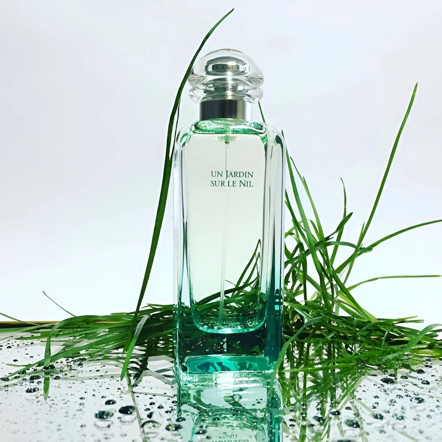 Hermès Un Jardin Sur Le Nil EDT Moisturizing Body Lotion Set for Women - Image 4