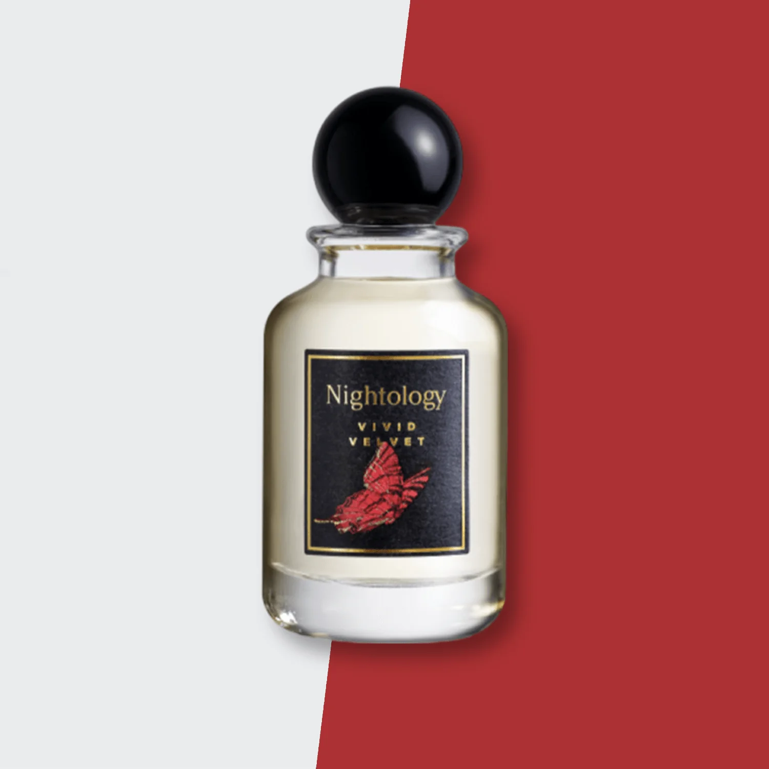 Jesus Del Pozo Nightology Vivid Velvet EDP - Image 2
