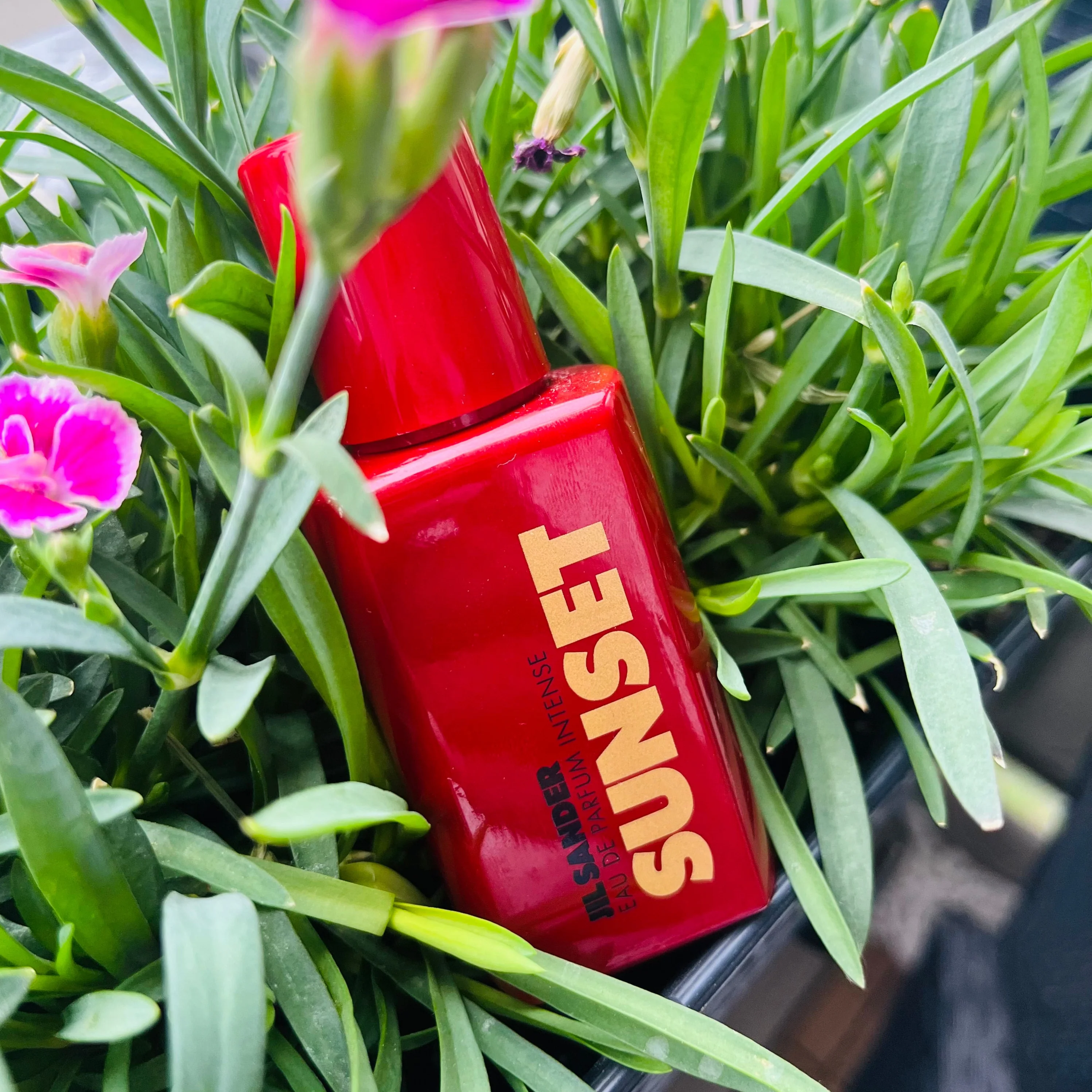 Jil Sander Sunset EDP - Image 3