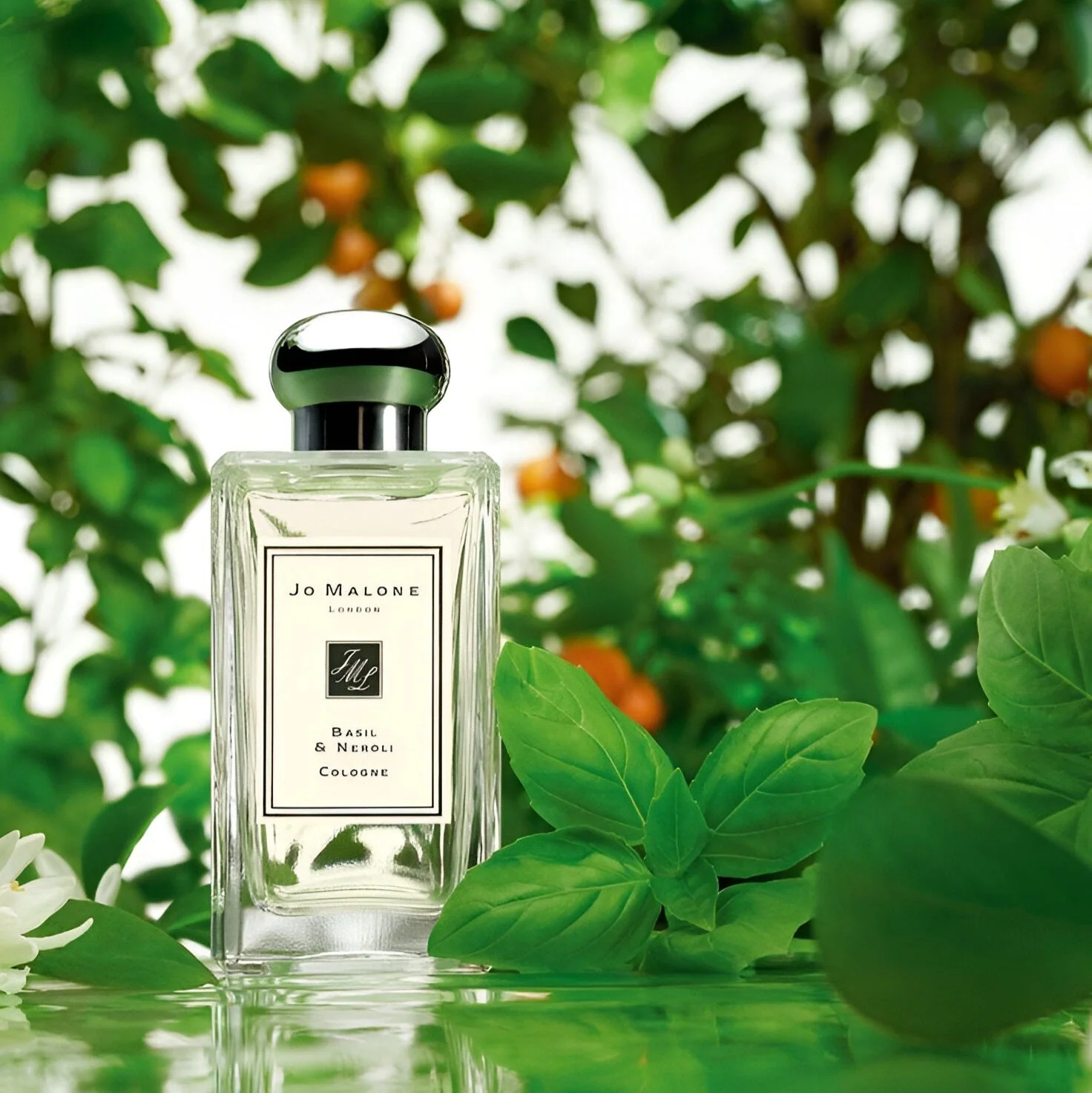 Jo Malone Basil & Neroli Cologne - Image 4