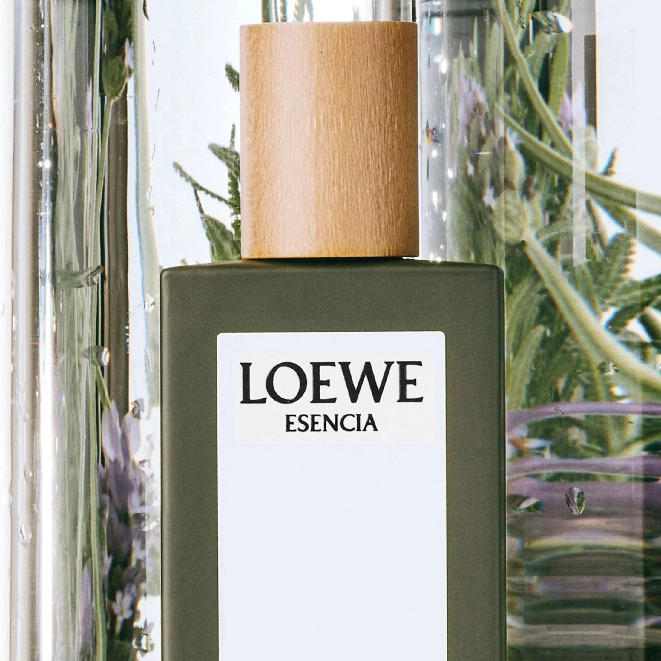 Loewe Esencia Pour Homme EDT - Image 2