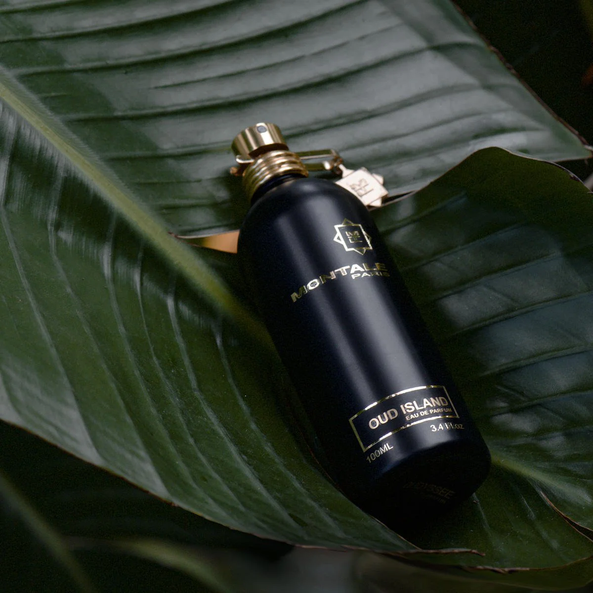 Montale Oud Island EDP - Image 4