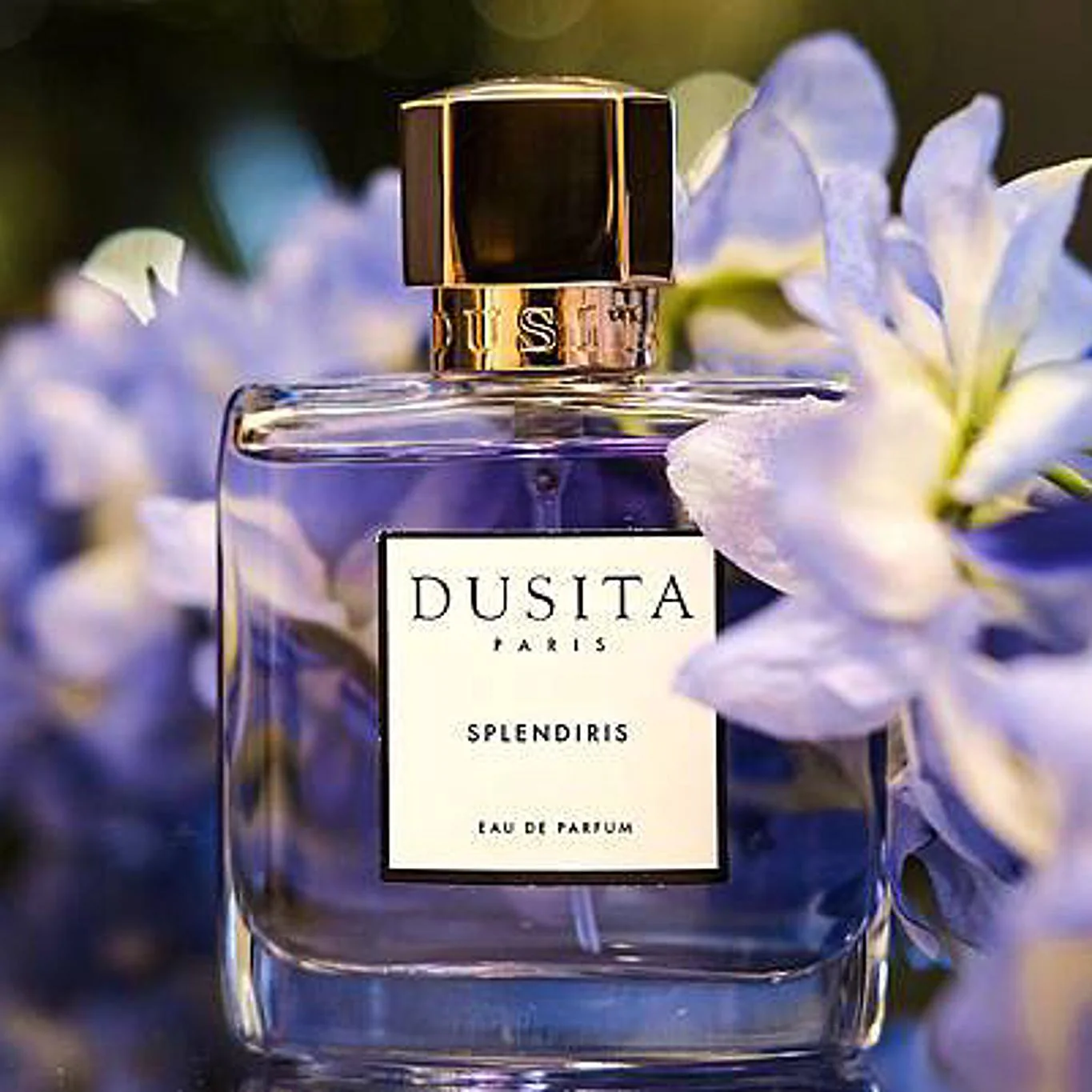 Parfums Dusita Splendiris EDP - Image 2