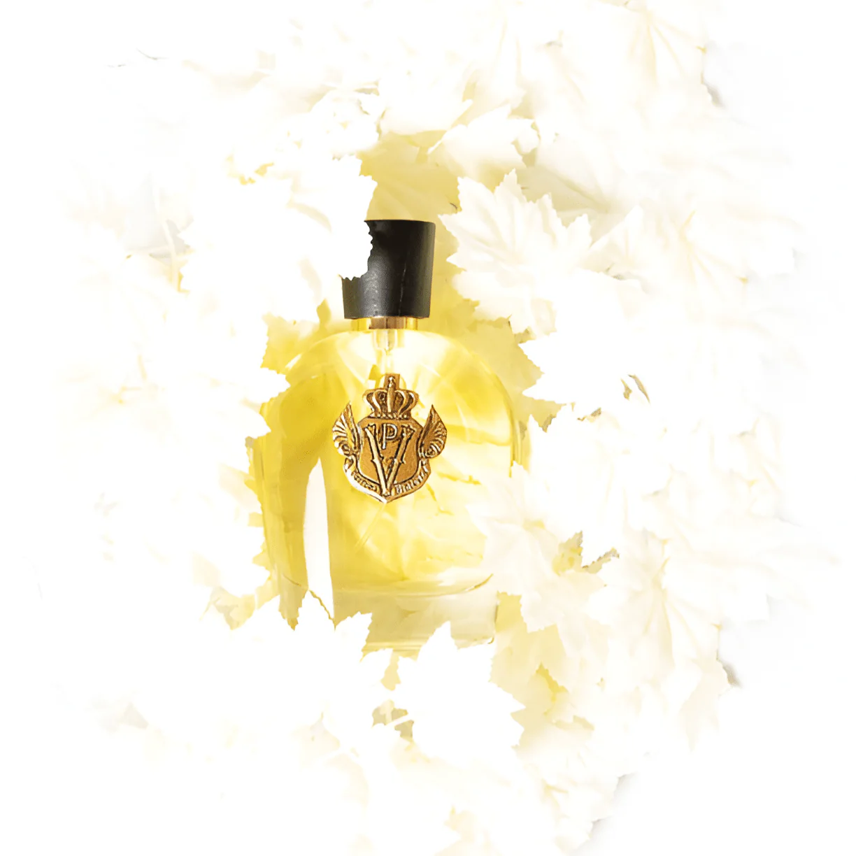 Parfums Vintage Evolution De L'Homme Matin EDP - Image 2