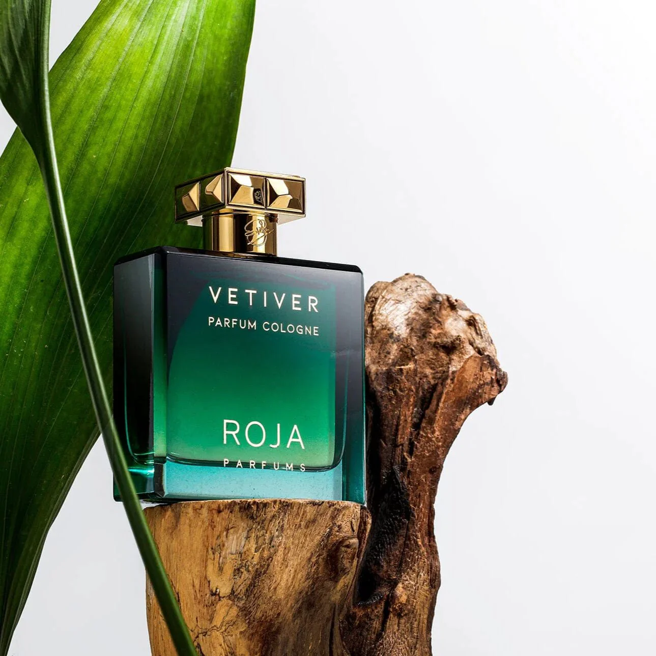 Roja Parfums Vetiver Pour Homme Parfum Cologne - Image 3