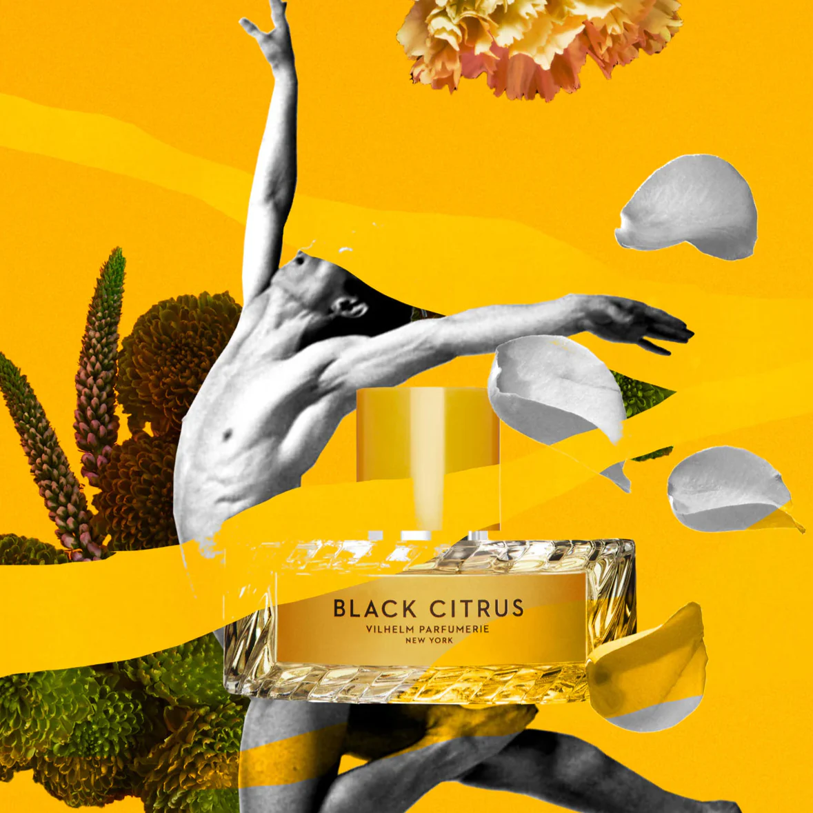 Vilhelm Parfumerie Black Citrus EDP - Image 3